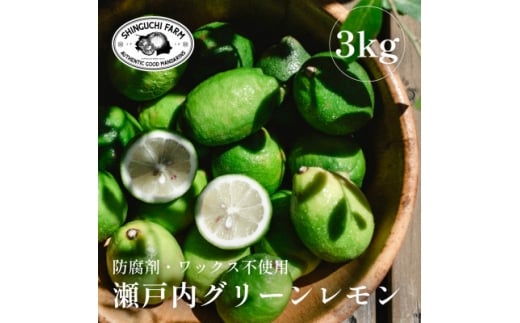 ＜皮ごと食べられる＞瀬戸内グリーンレモン 3kg 防腐剤・ワックス不使用＜C70-47＞【1550650】 1492755 - 愛媛県八幡浜市