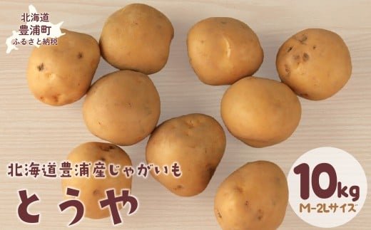 【先行予約】北海道豊浦産じゃがいも とうや 10kg M-2Lサイズ（2025年9月中旬より順次発送） 【 ふるさと納税 人気 おすすめ ランキング 野菜 いも 芋 じゃがいも じゃが芋 ジャガイモ とうや ポテト じゃがバター 国産 北海道産 北海道 豊浦町 送料無料 】 TYUB008