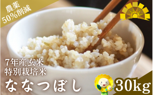 玄米 特別栽培米 ななつぼし 30kg 新米 / ごはん こめ 米 お米 北海道 北海道米 【kja400-nana-gt30-R7】