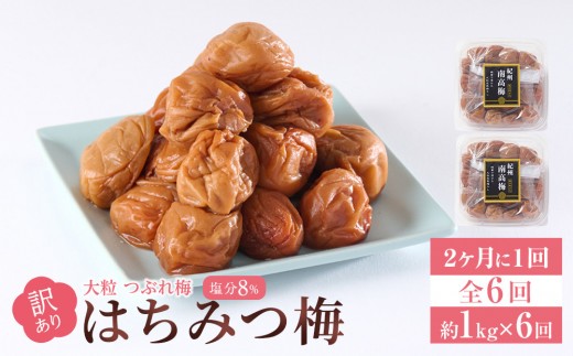 訳あり 梅干し 大粒 大玉 つぶれ梅 はちみつ梅 約1kg(500g×2) × 6回  塩分8％ [ 定期便 2か月に１回発送・全6回 ] 1966570 - 和歌山県和歌山市