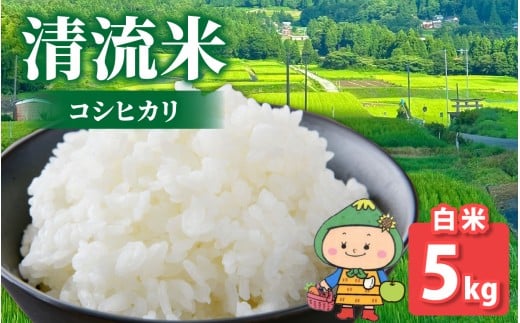 【先行予約】【令和7年産 新米】【福井県大野市】さかだに棚田清流米！(コシヒカリ)（白米） 5kg「今話題の、あのバンドのロケ地！」# 2275972 - 福井県大野市
