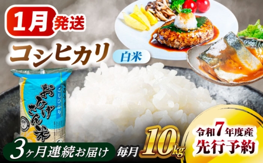 【3回定期便】 【1月発送開始】   コシヒカリ 白米 10kg×3回 愛西市 / 脇野コンバイン  米 お米 コメ [AECP027-1]