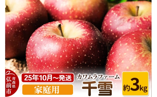 【25年10月～発送】りんご  千雪 約3kg カワムラファーム 家庭用【先行受付】 青森 果物 フルーツ 林檎 リンゴ くだもの 予約【レビューキャンペーン】
