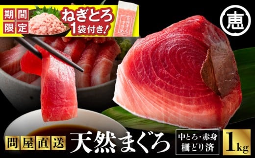 [期間限定 ねぎとろ付き]とにかくまぐろの質に自信あり!問屋直送!天然三崎まぐろ 1kg 中トロ赤身 M020-011-cp