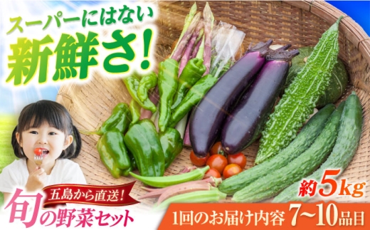 旬野菜セット7〜10品目(五島列島産)5kg未満 五島市/やぁしゃ便 