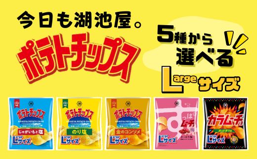 湖池屋のLサイズポテトチップス 12袋 (5種から選べる!) ポテトチップス ポテチ じゃがいも 湖池屋 おやつ お菓子 スナック菓子