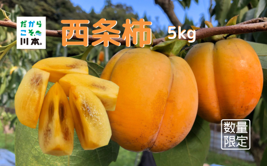 340310限定5セット[島根県川本町産]伊藤さんの西条柿5kg(25〜26個)