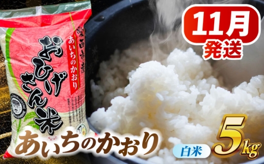 【11月発送】あいちのかおり 白米 5kg 愛西市 / 脇野コンバイン 米 お米 コメ [AECP001-2] 1454426 - 愛知県愛西市