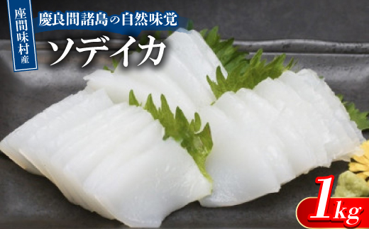 慶良間諸島の自然味覚 座間味村産のソデイカ 1kg(2～3柵)【1625441】