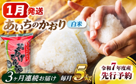 【3回定期便】  【1月発送開始】  あいちのかおり 白米 5kg×3ヵ月 愛西市 / 脇野コンバイン 米 お米 コメ [AECP004-1] 2273908 - 愛知県愛西市