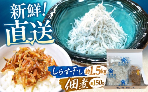 しらす干し（約1.5kg）と佃煮（約150g）セット /森国商店 浜で瞬時に釜出し 高知のしらす【グレイジア株式会社】 [ATAC487]