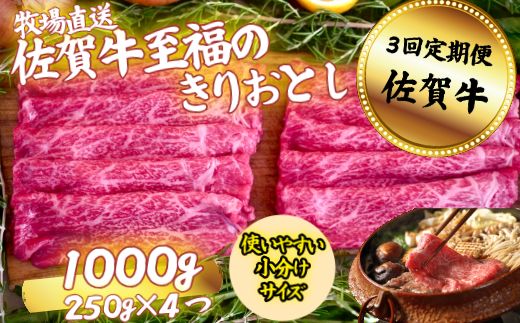 【定期便3回】佐賀牛 至福のきりおとし 1000g（250g×4P）：B640-006