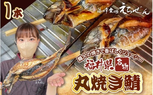 【福井県名物】丸焼き鯖 1本 職人の焼きで香ばしくジューシー【さば 焼き魚 焼き サバ 丸焼き 惣菜 半夏生 はんげしょう 酒の肴 郷土料理】 [e38-a004]
