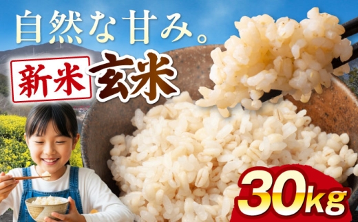 【令和7年産】【新米】玄米 30kg 愛媛県大洲市/よっちゃん農園 げんまい 玄米 おこめ コメ [AGEI001]