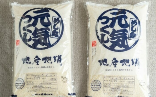 【令和6年産】果物屋さんが選んだ米 元気つくし 10kg 吉富町/南国フルーツ株式会社 [BGAG025]