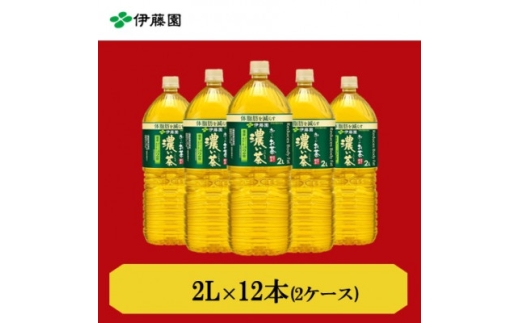 おーいお茶濃い茶2L　12本(2ケース)　伊藤園【1143943】