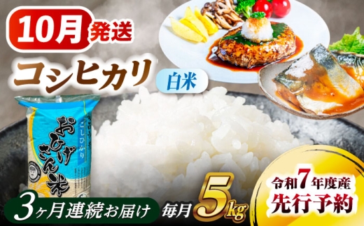 【3回定期便】 【10月発送開始】  コシヒカリ 白米 5kg×3回 愛西市 / 脇野コンバイン 米 お米 コメ [AECP024-10]