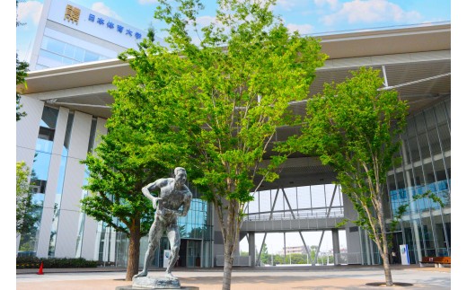 日本体育大学への寄附(区内大学等応援補助事業)