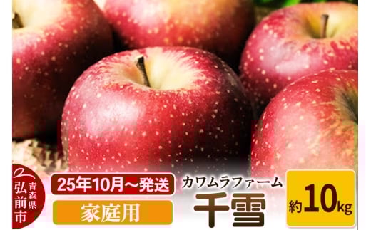 【25年10月～発送】りんご  千雪 約10kg カワムラファーム 家庭用【先行受付】 青森 果物 フルーツ 林檎 リンゴ くだもの 予約【レビューキャンペーン】