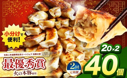 [ 定期便2回 ] 火の本豚餃子 (20個×2パック)40個入 | 熊本県 熊本 くまもと 和水町 なごみ 豚肉 火の本豚 地域ブランド ギョウザ ぎょうざ 20個 2パック 40個 冷凍餃子