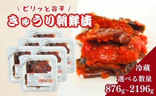生カップきゅうり朝鮮漬 タマゴヤの朝鮮漬 876g(73g×6パック×2箱) | キムチ きゅうり 漬物 詰め合わせ ギフト