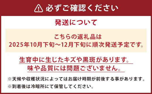 【2025年10月下旬より2025年12月迄順次発送予定】【訳あり】王秋梨 (マンゴー梨) 約4kg (7-12玉)
