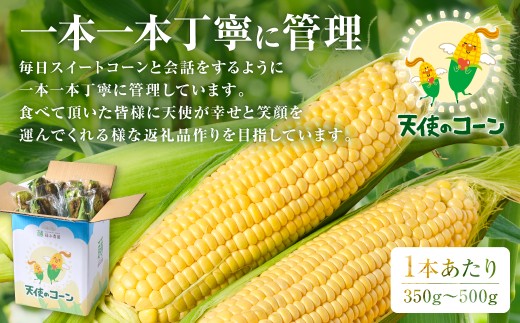 毎日スイートコーンと会話をするように一本一本丁寧に管理しています。
