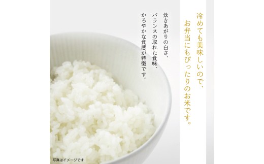 バランスの取れた食味、かろやかな食感が特徴です。