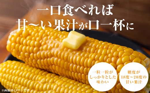 一粒一粒がしっかりとした味わい、糖度が18度～20度甘い果汁