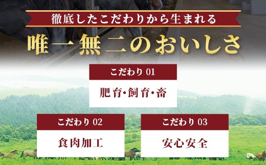 国産馬刺し赤身 合計約400g ※画像はイメージです