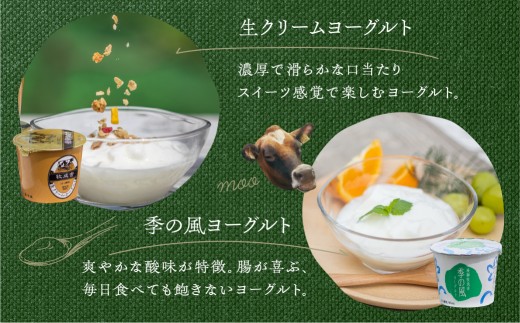 スイーツセットに入っているミルクプリン