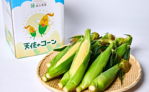 熊本県八代市産「天使のコーン」2L～3Lサイズ 合計10本入り