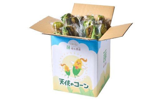 熊本県八代市産「天使のコーン」2L～3Lサイズ 合計10本入り