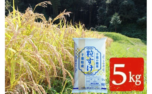 新米 【 令和7年産 】【 新品種 】千葉・粒すけ（精米） 5kg | 米 こめ お米 おこめ 白米 精米 大つぶ 千葉県のブランド米 千葉県 君津市