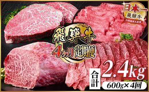 ＜毎月定期便＞飛騨牛 赤身定期便 計2.4kg 焼肉 BBQ すき焼き しゃぶしゃぶ ブロック全4回【4072650】