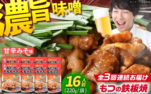 【3回定期便】 岐阜県産豚もつの鉄板焼き「元祖みたけとんちゃん」甘辛みそ味（16人前） / モツ もつ 白もつ ホルモン / 御嵩町 / 藤よし [AVAA073]
