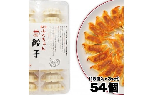 【大阪名物】大阪ふくちぁん餃子 冷凍生餃子 54個 ［18個入×3セット］