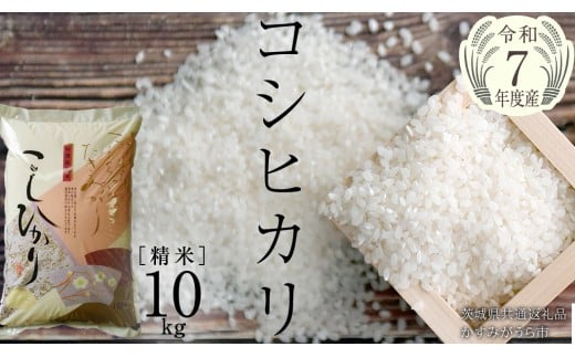 ＼ 2月出荷 ／【令和7年産】コシヒカリ 精米10kg（10kg×1袋）（茨城県共通返礼品 かすみがうら市産） [EX002sa-02]