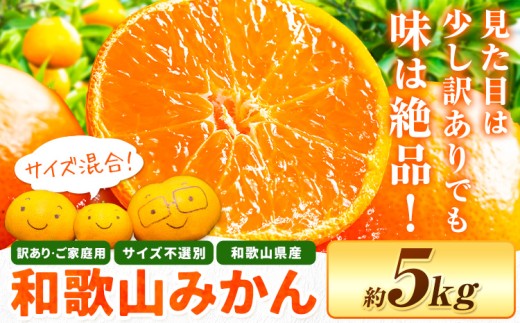 和歌山県産 訳あり みかん(3S～3L) 約5kg《11月上旬-12月末頃出荷》和歌山県 日高川町 柑橘類 柑橘 果物 フルーツ ミカン 訳ありみかん 家庭用 お取り寄せフルーツ みかん