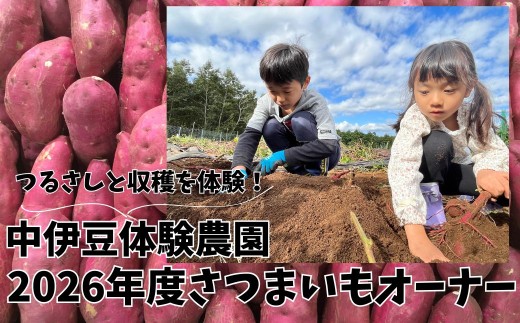 【中伊豆体験農園】お子様の食育に！！サツマイモの植え付けと収穫を体験！2026年度受付分