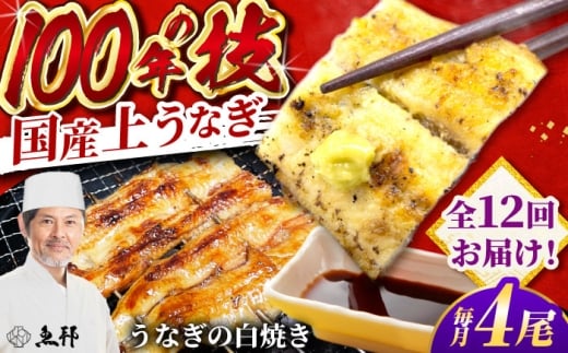 【12回定期便】国産 上うなぎ 白焼き 4尾 約150g×4パック / 鰻 ウナギ うなぎ 白焼き / 御嵩町 / 鰻 季節料理 魚邦 [AVBH035]