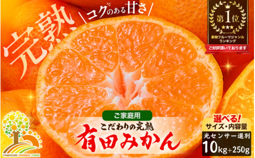 有田 みかん 訳あり 10kg 光センサー 選別 / 温州みかん 有田みかん 甘い 家庭用 和歌山 柑橘 ※12月順次発送 ※沖縄・離島への配送不可【nuk004-c-10-decE】 652917 - 和歌山県広川町