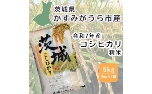 令和7年産　茨城県かすみがうら市産　精米　コシヒカリ　5kg【1662542】