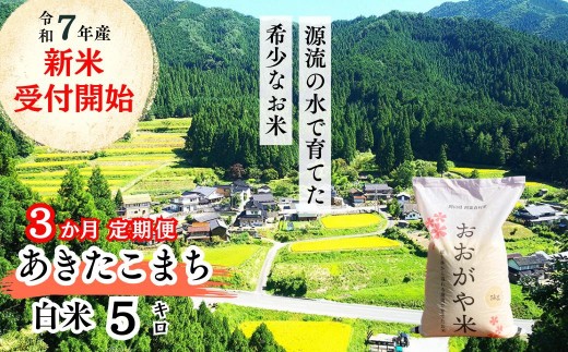 《令和7年産新米受付開始》【3回定期便】白米 5kg 令和7年産 あきたこまち岡山 「おおがや米」生産組合　G-bf-BEFA