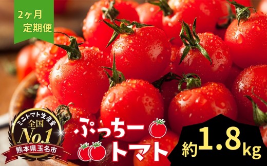 ぷっちートマト ミニトマト 1.8kg×2回 定期便 | 野菜 やさい ミニトマト ミニ とまと トマト 1.8kg 2回 定期便 リコピン 熊本県 玉名市