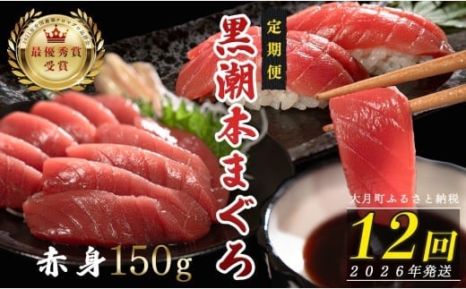 【定期便12回】日本一!黒潮本まぐろ 赤身 2262712 - 高知県大月町