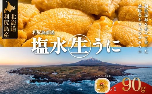 【2026年発送受付】利尻昆布育ちの天然生うに 塩水キタムラサキ 90g (90g×1p) 北海道 朝獲れ 塩水 ウニ 無添加 ミョウバン不使用 生 うに 雲丹 国産 天然 利尻 キタムラサキ ムラサキ[1110010] 2157346 - 北海道利尻町