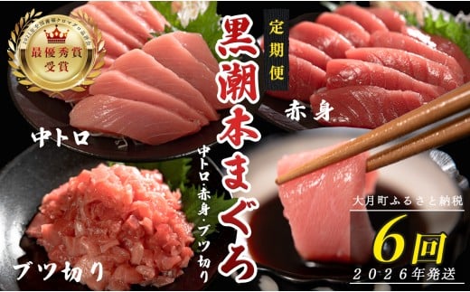 【定期便6回】日本一!黒潮本まぐろ 中トロ・赤身・ブツ切り 3種セット 2262723 - 高知県大月町