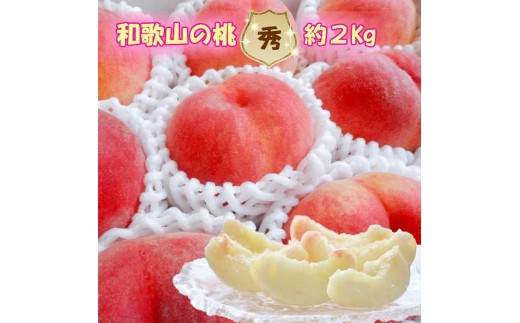 【秀品】和歌山ブランド白桃 約2kg！2026年7月発送分【NGT6】