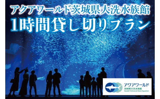 【仮予約必須】 アクアワールド 茨城県 大洗 水族館 貸し切り プラン (1時間)　プロポーズ ウェディング フォト ユニークベニュー ショートプラン 貸切